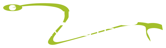 Relies Computers